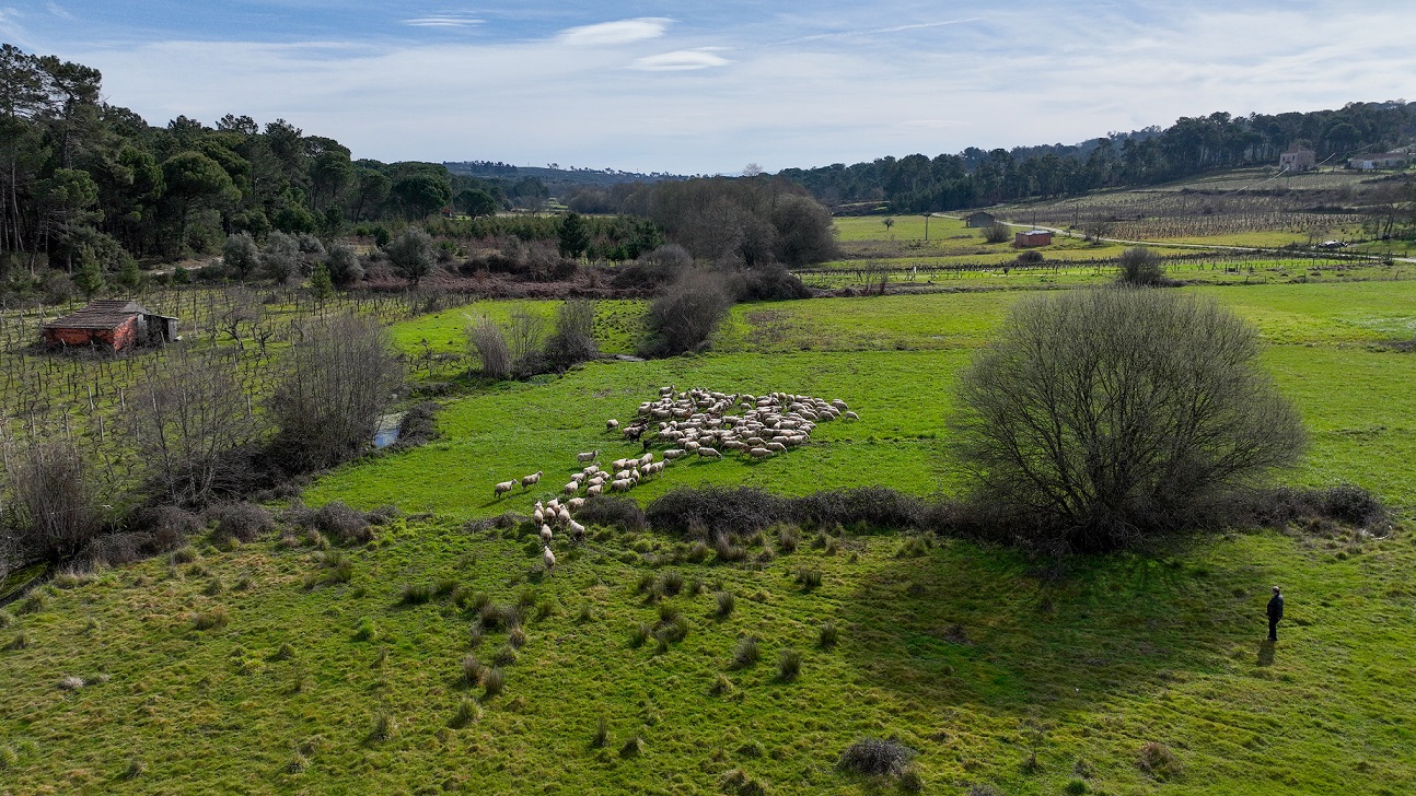 Quinta da Estaca 2