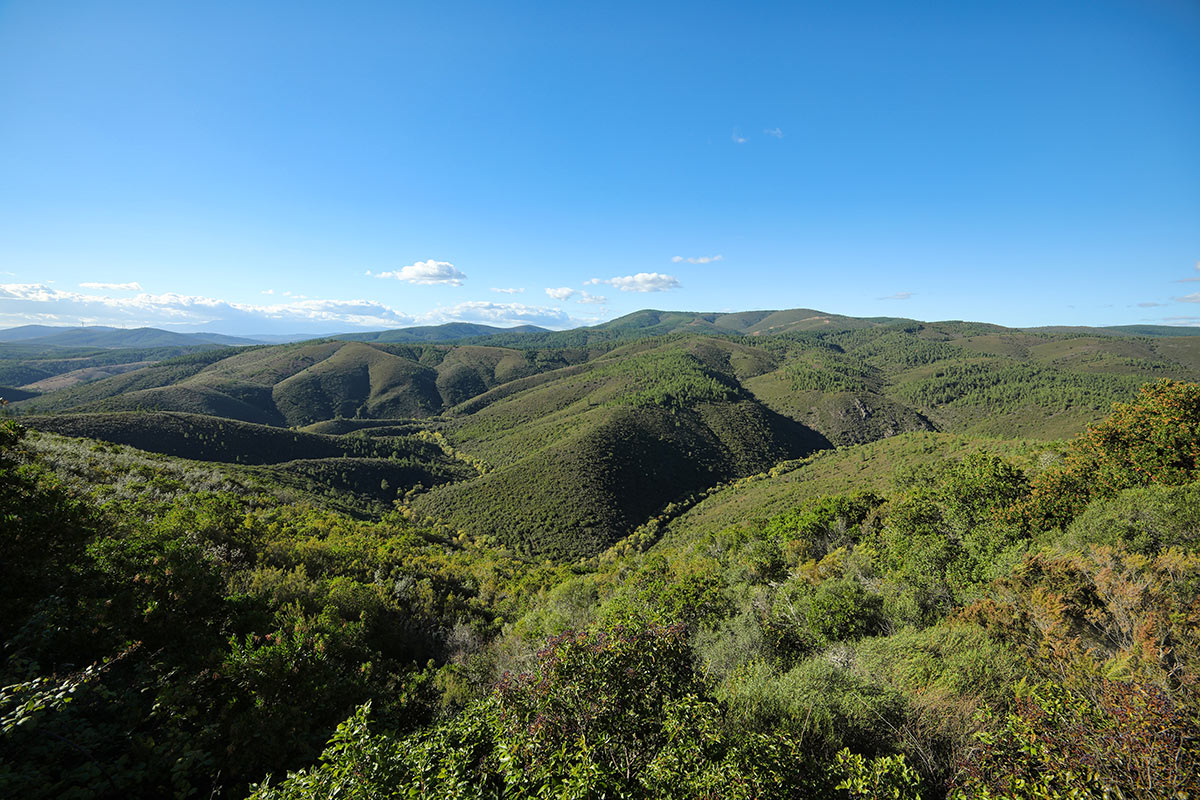 Reserva Natural Serra Malcata6